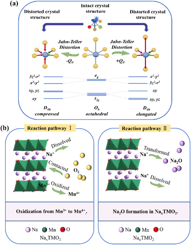 image file: d5sc09895e-f3.tif
