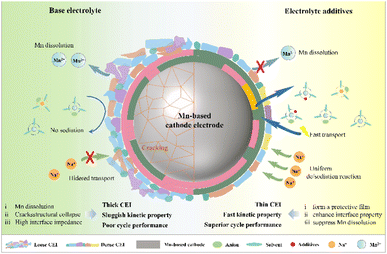 image file: d5sc09895e-f5.tif