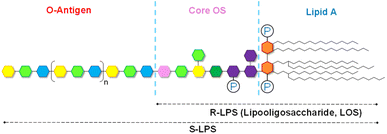 image file: d5sc09900e-f1.tif