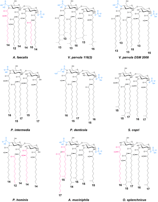 image file: d5sc09900e-f4.tif
