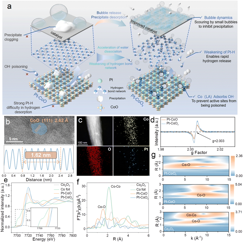 image file: d5sc09928e-f1.tif