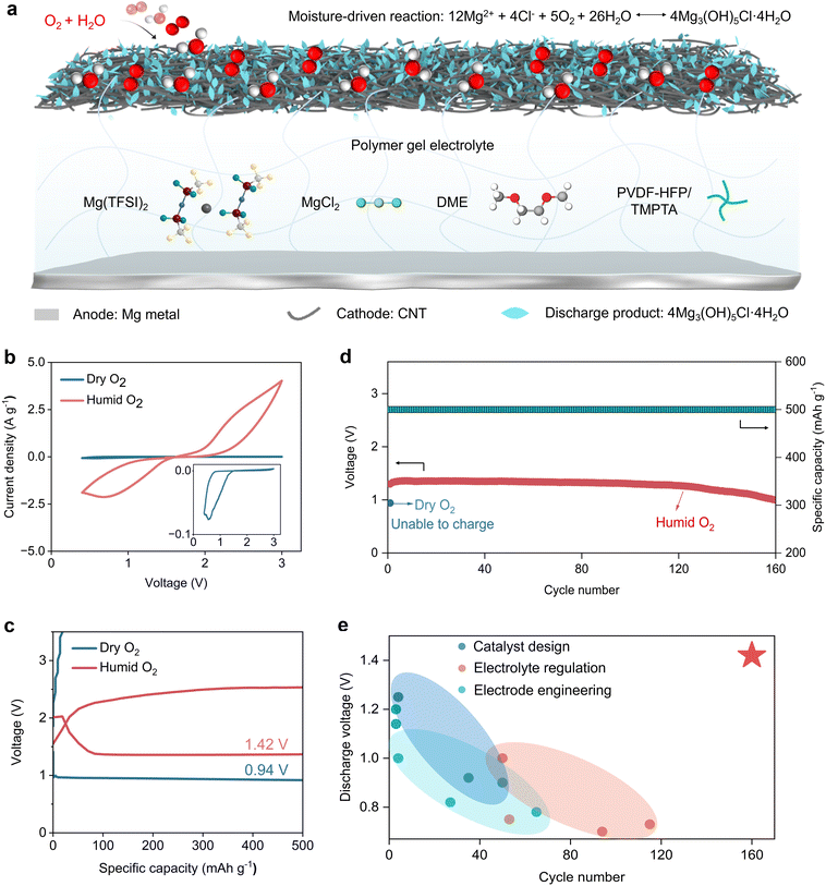 image file: d5sc09929c-f1.tif
