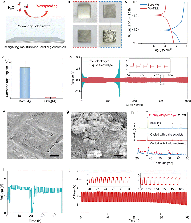 image file: d5sc09929c-f2.tif
