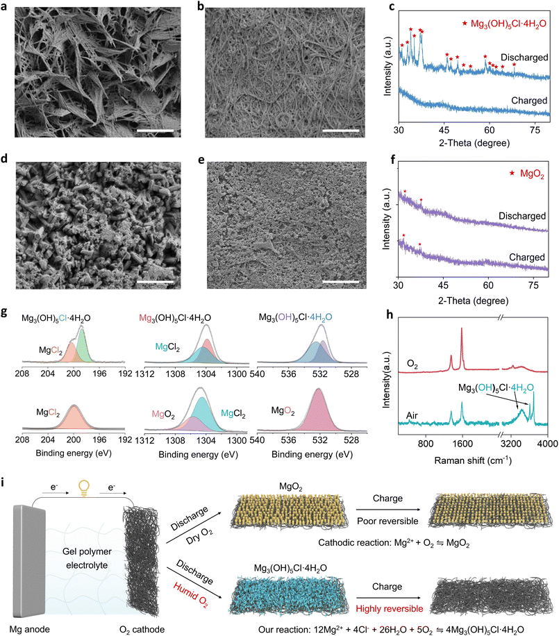 image file: d5sc09929c-f3.tif