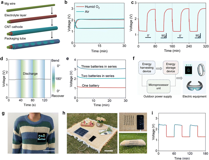 image file: d5sc09929c-f4.tif