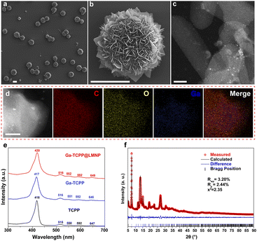 image file: d5sc09934j-f1.tif