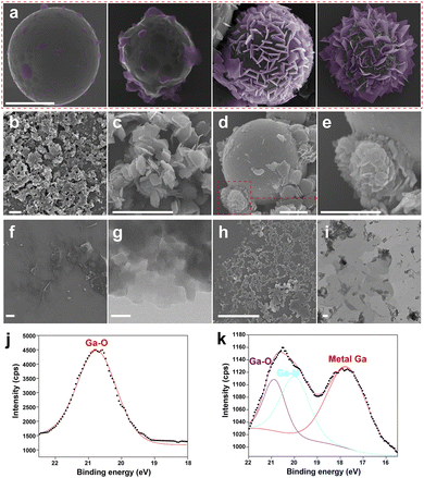 image file: d5sc09934j-f2.tif