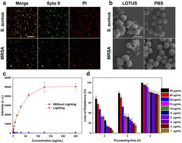 image file: d5sc09934j-f3.tif