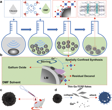 image file: d5sc09934j-s1.tif