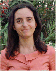 image file: d5sc09965j-p2.tif