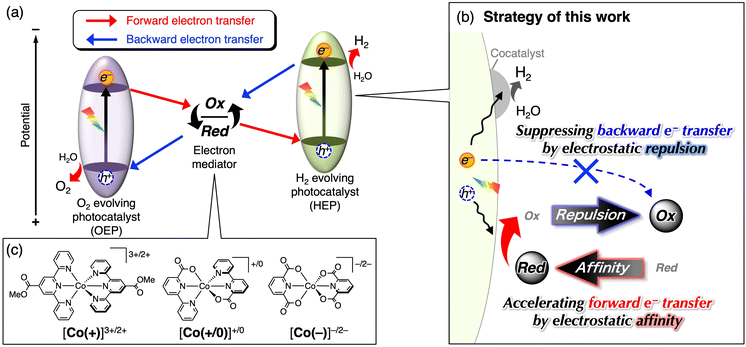 image file: d5sc10049f-f1.tif