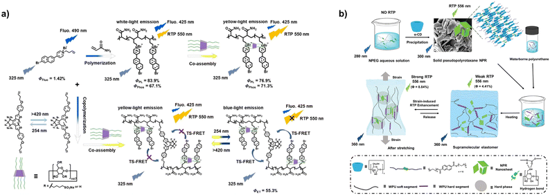 image file: d5sc10066f-f4.tif