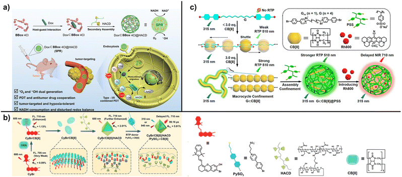 image file: d5sc10066f-f5.tif