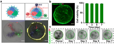 image file: d5sc10112c-f2.tif