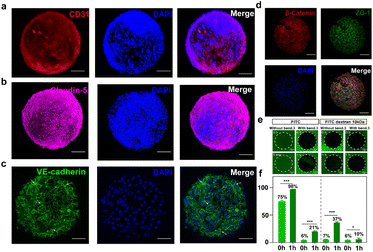 image file: d5sc10112c-f3.tif