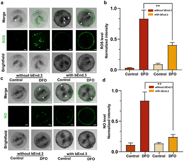 image file: d5sc10112c-f4.tif