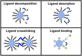 image file: d5sc10169g-s2.tif