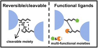 image file: d5sc10169g-s4.tif