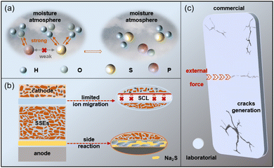 image file: d5sc10189a-f4.tif
