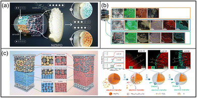image file: d5sc10189a-f5.tif