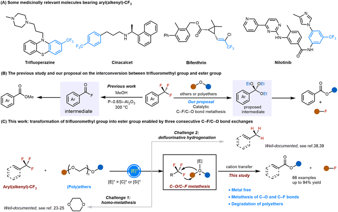 image file: d5sc10208a-s1.tif