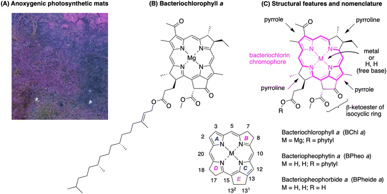 image file: d5sc10233b-f1.tif