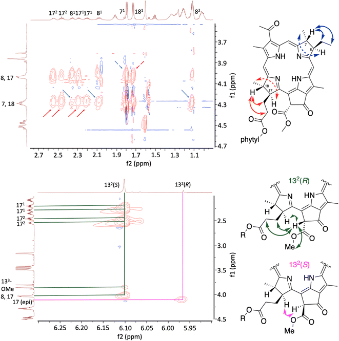image file: d5sc10233b-f7.tif