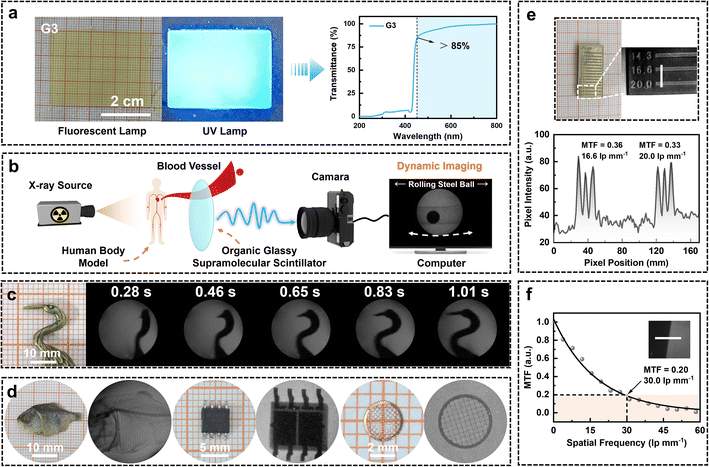 image file: d6sc00159a-f7.tif