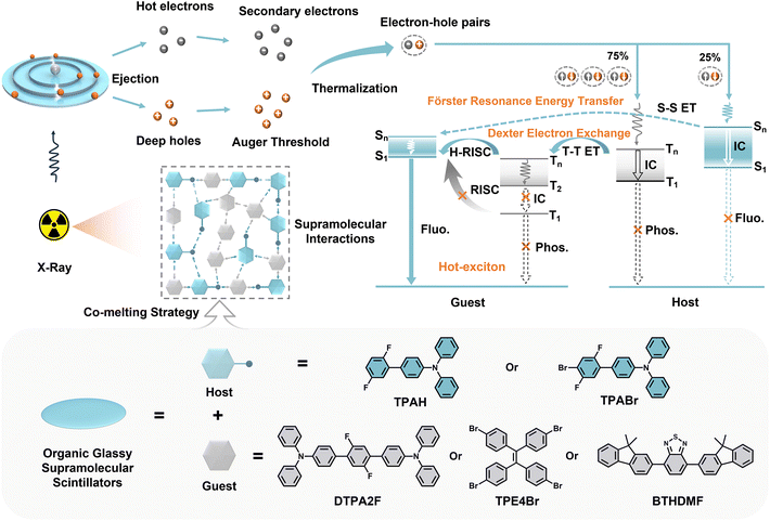 image file: d6sc00159a-s1.tif