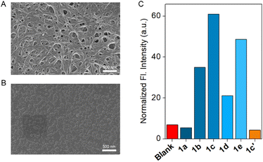 image file: d6sc00359a-f2.tif
