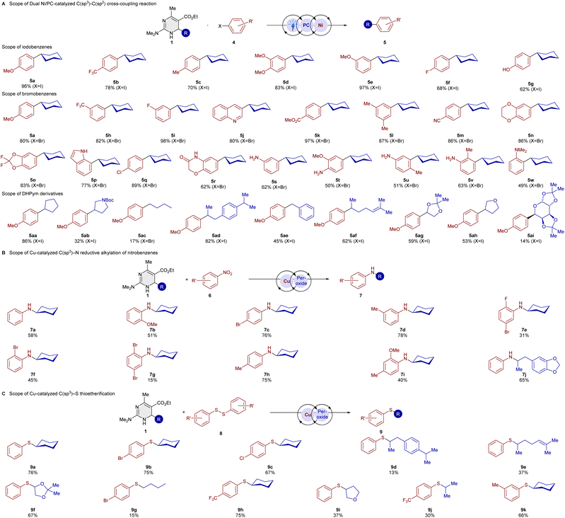 image file: d6sc00376a-s3.tif