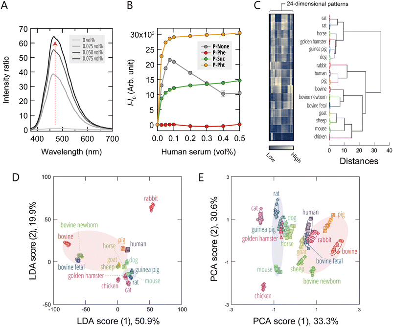 image file: d6sc00383d-f2.tif