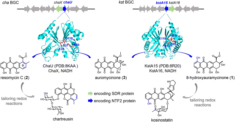 image file: d6sc00451b-f1.tif