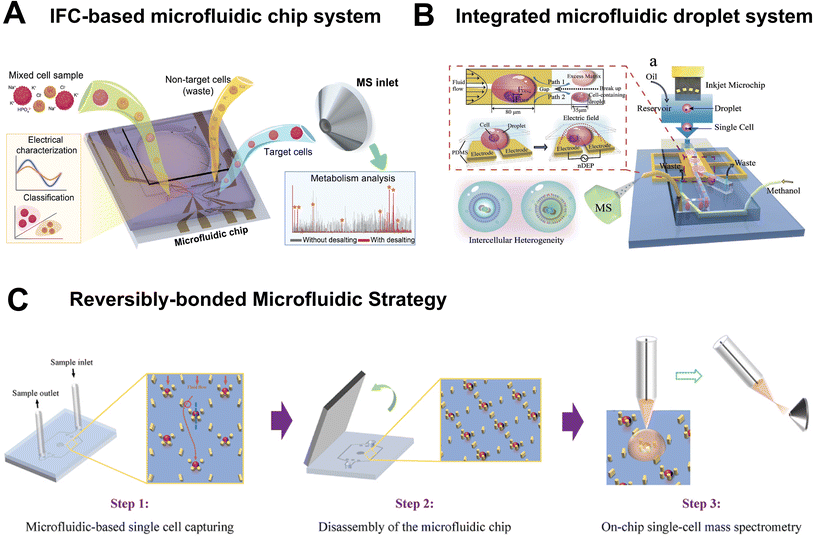 image file: d6sc00482b-f4.tif