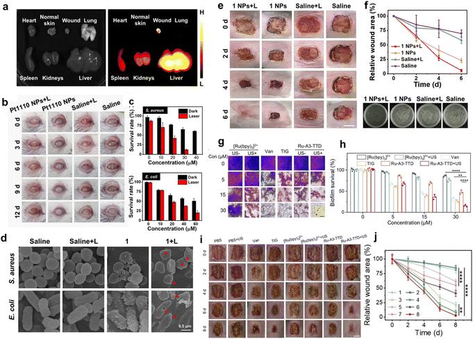 image file: d6sc00523c-f10.tif