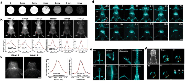 image file: d6sc00523c-f12.tif