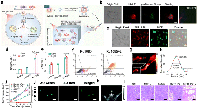 image file: d6sc00523c-f7.tif