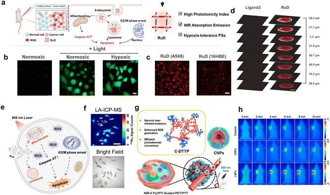 image file: d6sc00523c-f8.tif