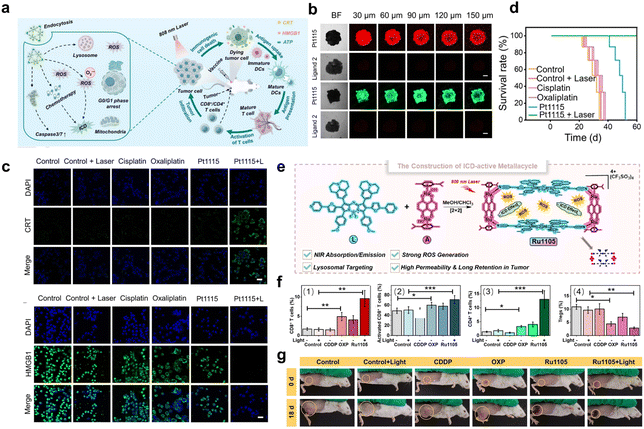 image file: d6sc00523c-f9.tif