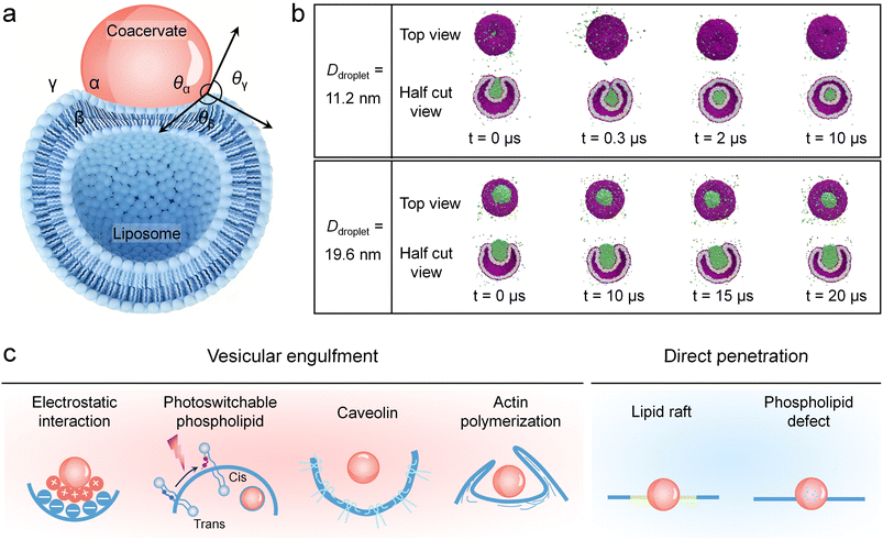image file: d6sc00655h-f1.tif