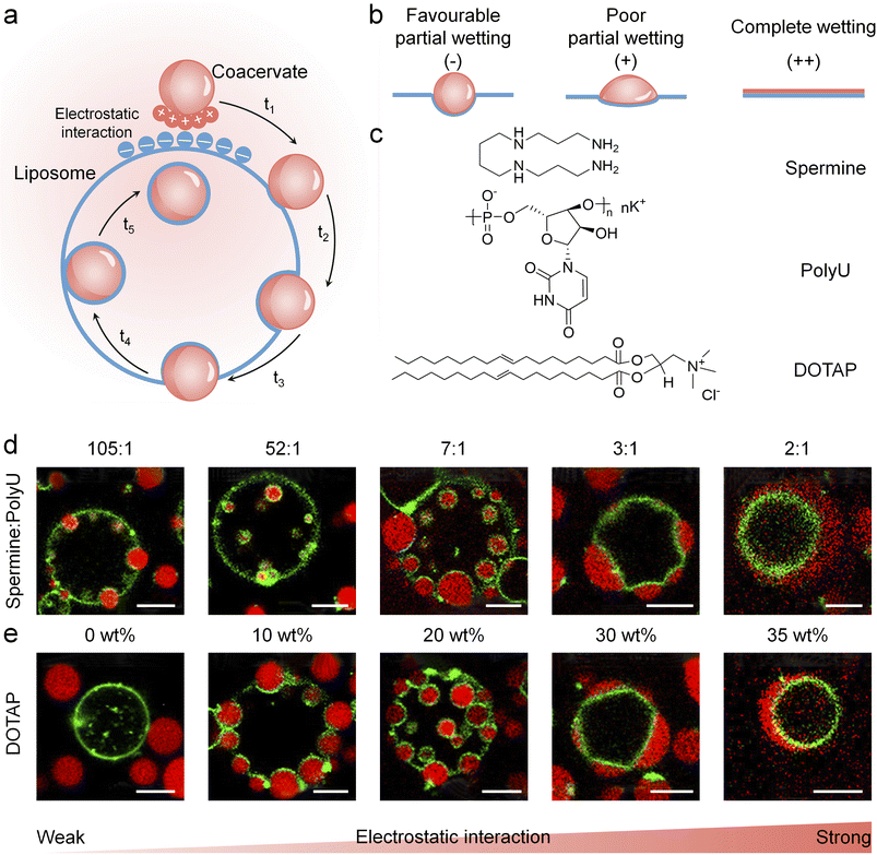 image file: d6sc00655h-f2.tif