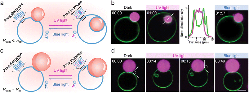 image file: d6sc00655h-f3.tif