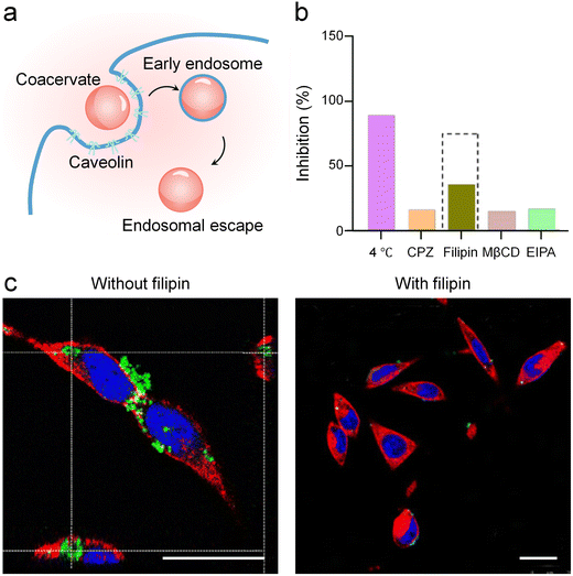 image file: d6sc00655h-f4.tif