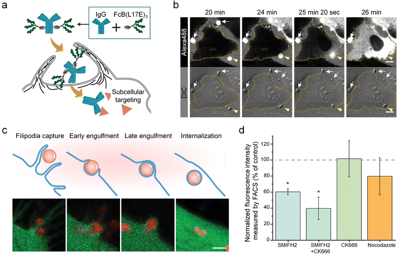 image file: d6sc00655h-f5.tif