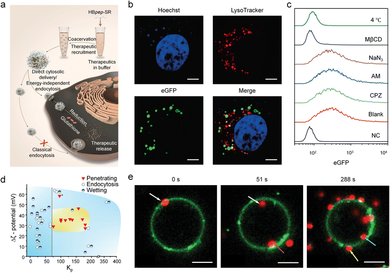 image file: d6sc00655h-f6.tif