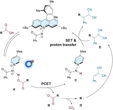 image file: d6sc00657d-f5.tif