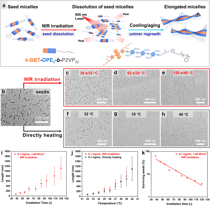 image file: d6sc00684a-f4.tif