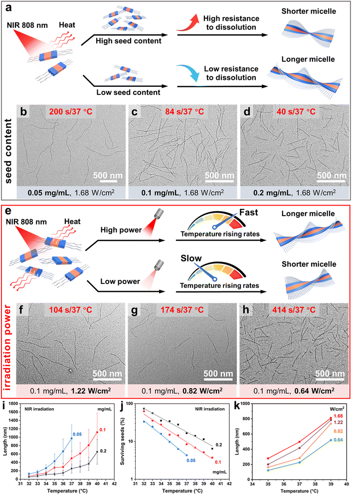 image file: d6sc00684a-f5.tif