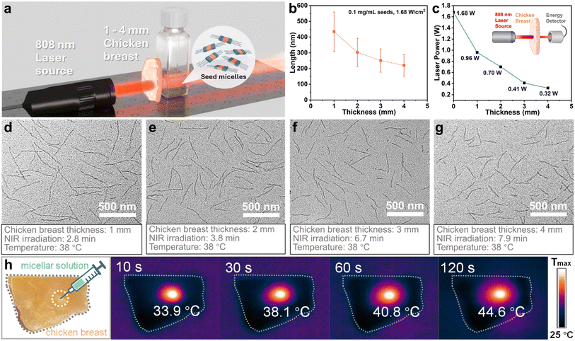image file: d6sc00684a-f7.tif