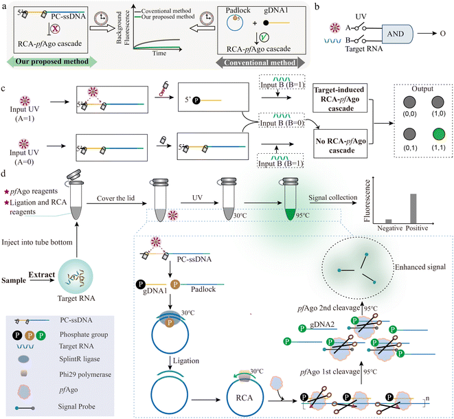 image file: d6sc00827e-f1.tif